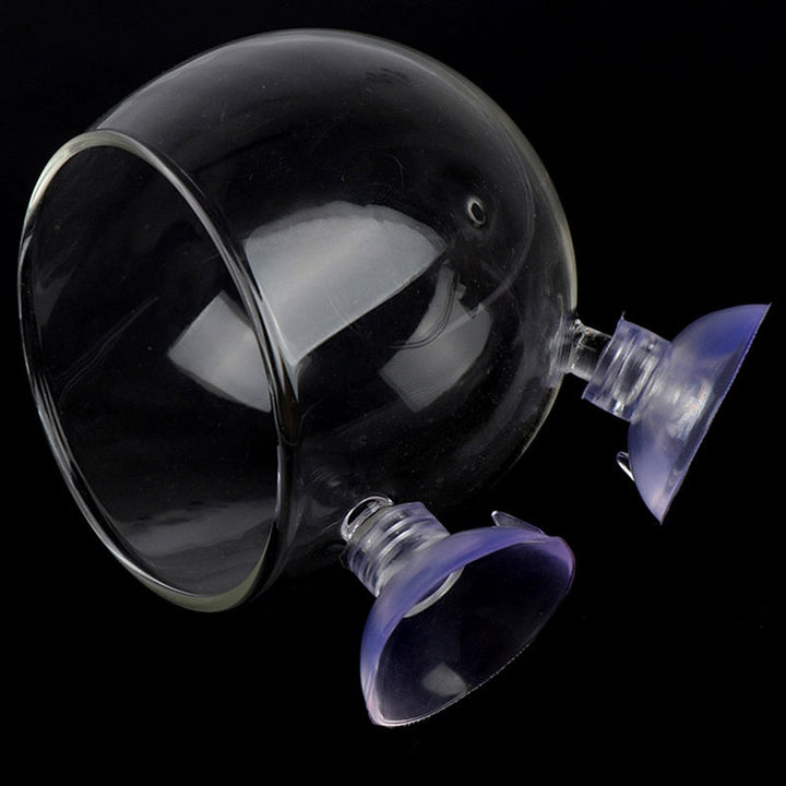 Lisslune | Creative Aquarium Fish Tank Glass Vase