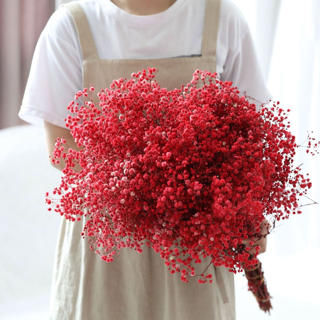 Lisslune | Dried Preserved Gypsophila Flower Bouquet – Natural Decor