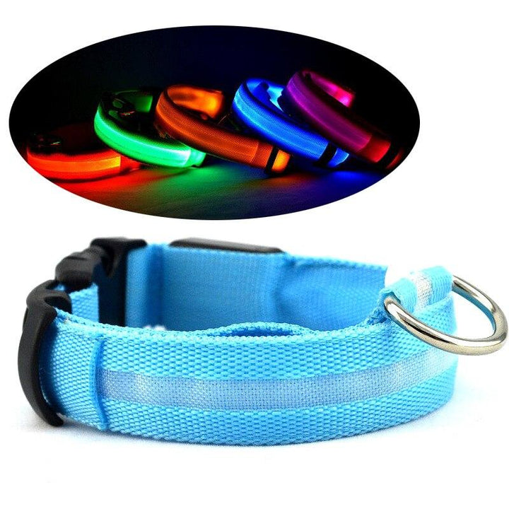 Lisslune | LED USB glowing dog collar