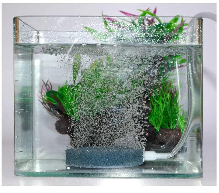 Lisslune | Aquarium Air Pump Oxygen Diffuser Disc - Bubble Stone for Fish Tank & Pond (4/6/8cm)