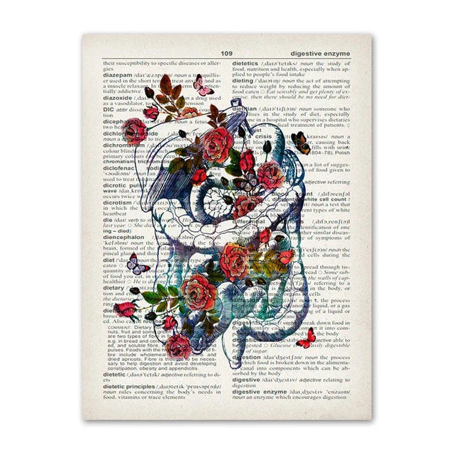 Lisslune | Anatomy Canvas Poster