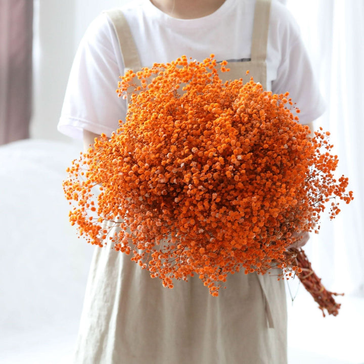 Lisslune | Dried Preserved Gypsophila Flower Bouquet – Natural Decor