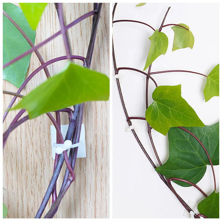 Lisslune | Climbing Wall Mounting Clips – Practical Plant Holders for Wall Decoration