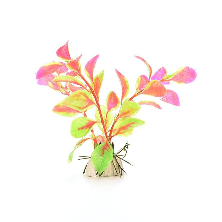 Lisslune | Vibrant Aquatic Plant Decoration Set with stable weighted base for thriving aquariums
