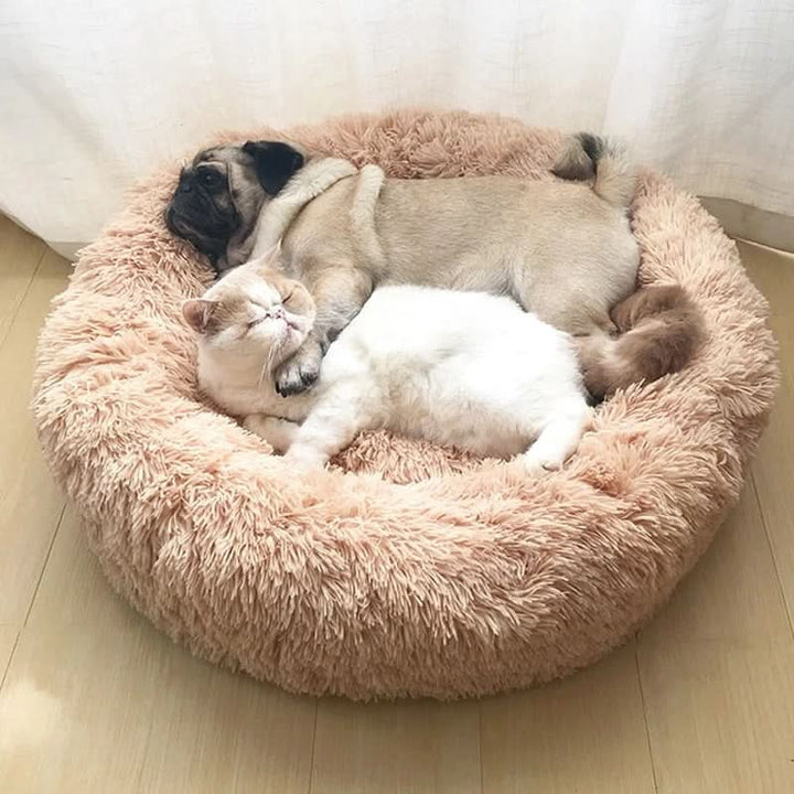 Lisslune | Pet Donut Sofa – Cozy retreat for pets & protection for your furniture