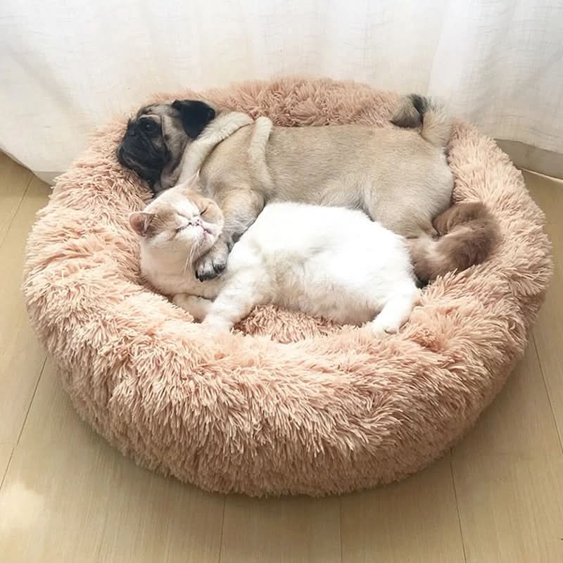 Lisslune | Pet Donut Sofa – Cozy retreat for pets & protection for your furniture