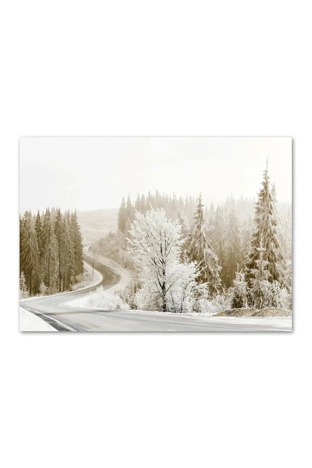 Lisslune | Canvas poster