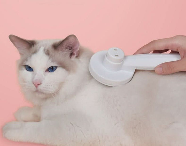 Lisslune | SELFCLEAN BRUSH – Self-cleaning cat brush for less hair loss & clean coat