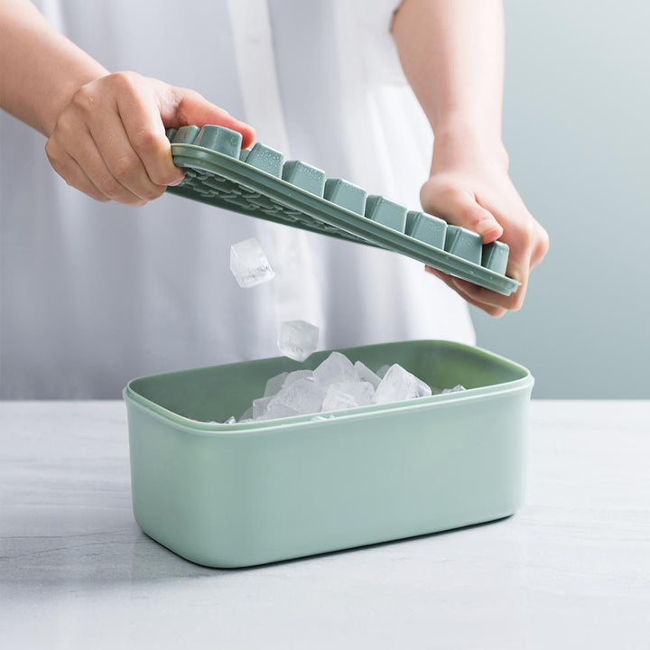 Lisslune | Double Layer Ice Mold Storage Box