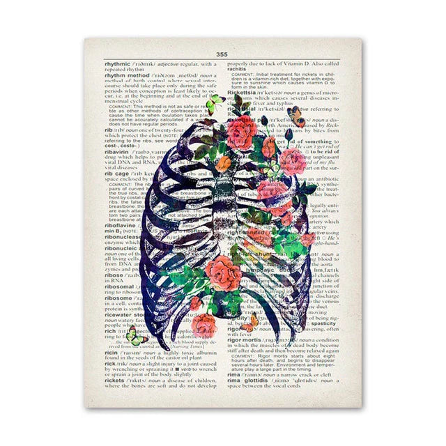 Lisslune | Anatomy Canvas Poster