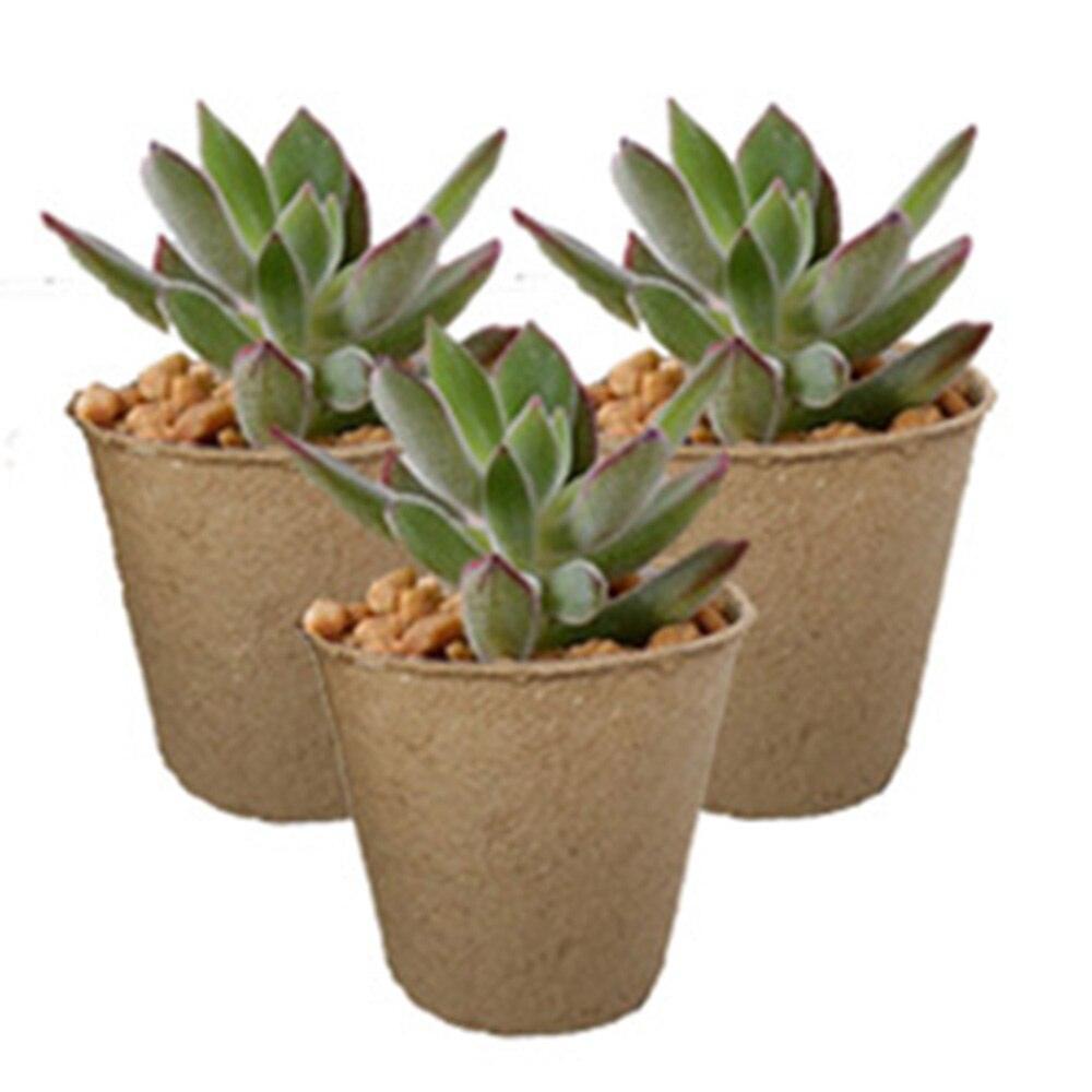 Lisslune | Biodegradable peat plant pots: Grow your garden with eco-friendly style