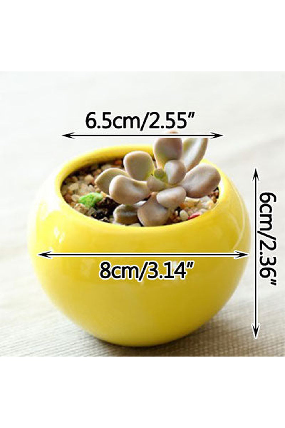 Lisslune | Pastel Charm Flower Pot
