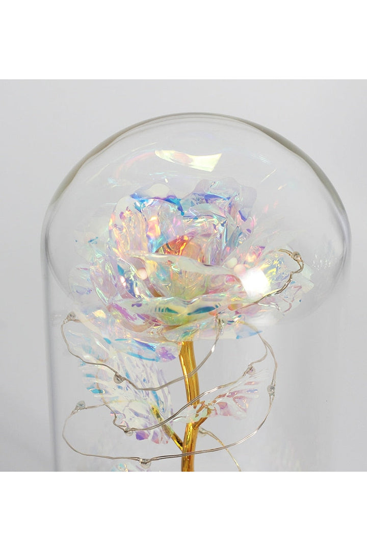 Lisslune | illuminated enchanted rose lamp