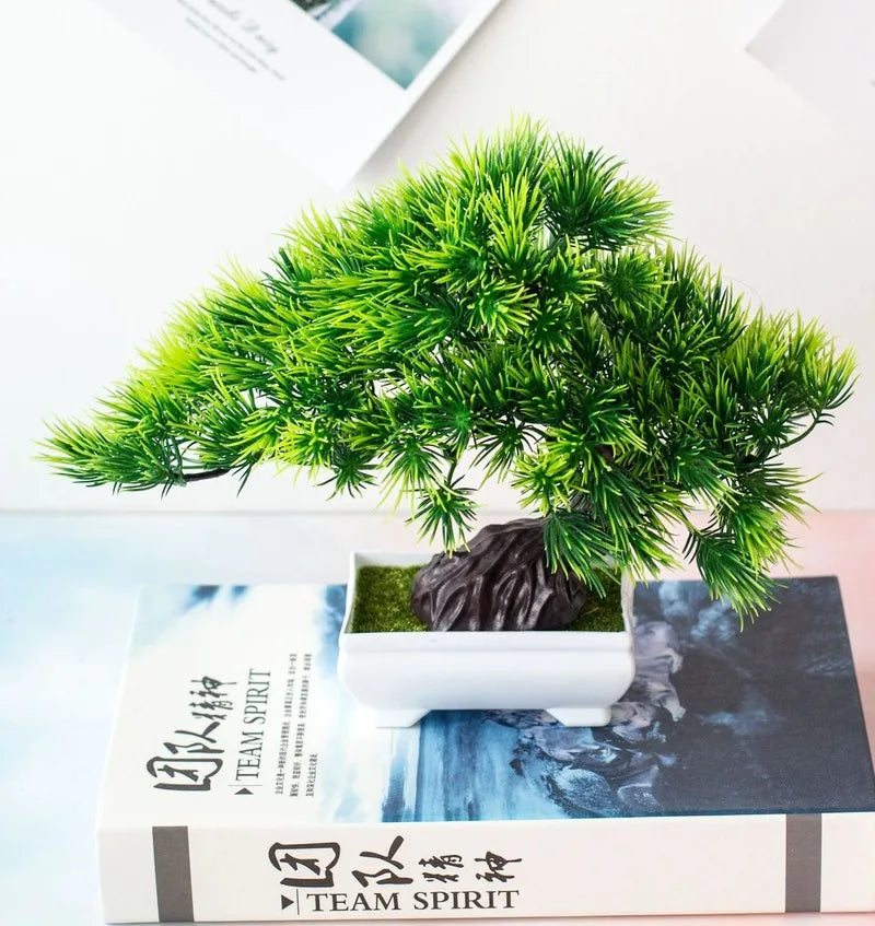 Lisslune | Small Tree Pot Bonsai Plants