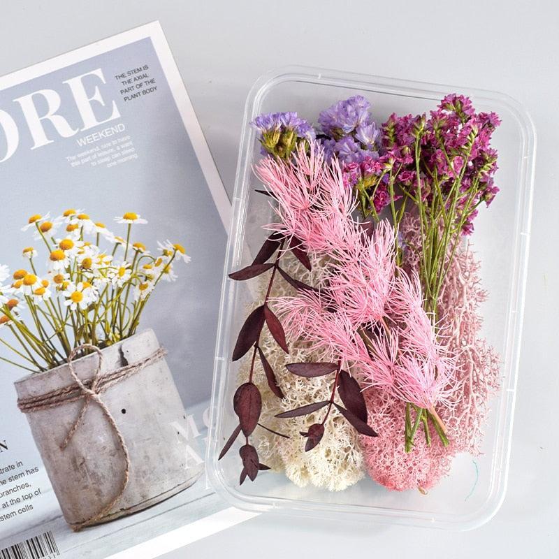 Lisslune | Eternal Floral Inspirations: Preserved Petals for Creative Expressions