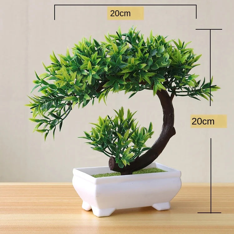 Lisslune | Small Tree Pot Bonsai Plants