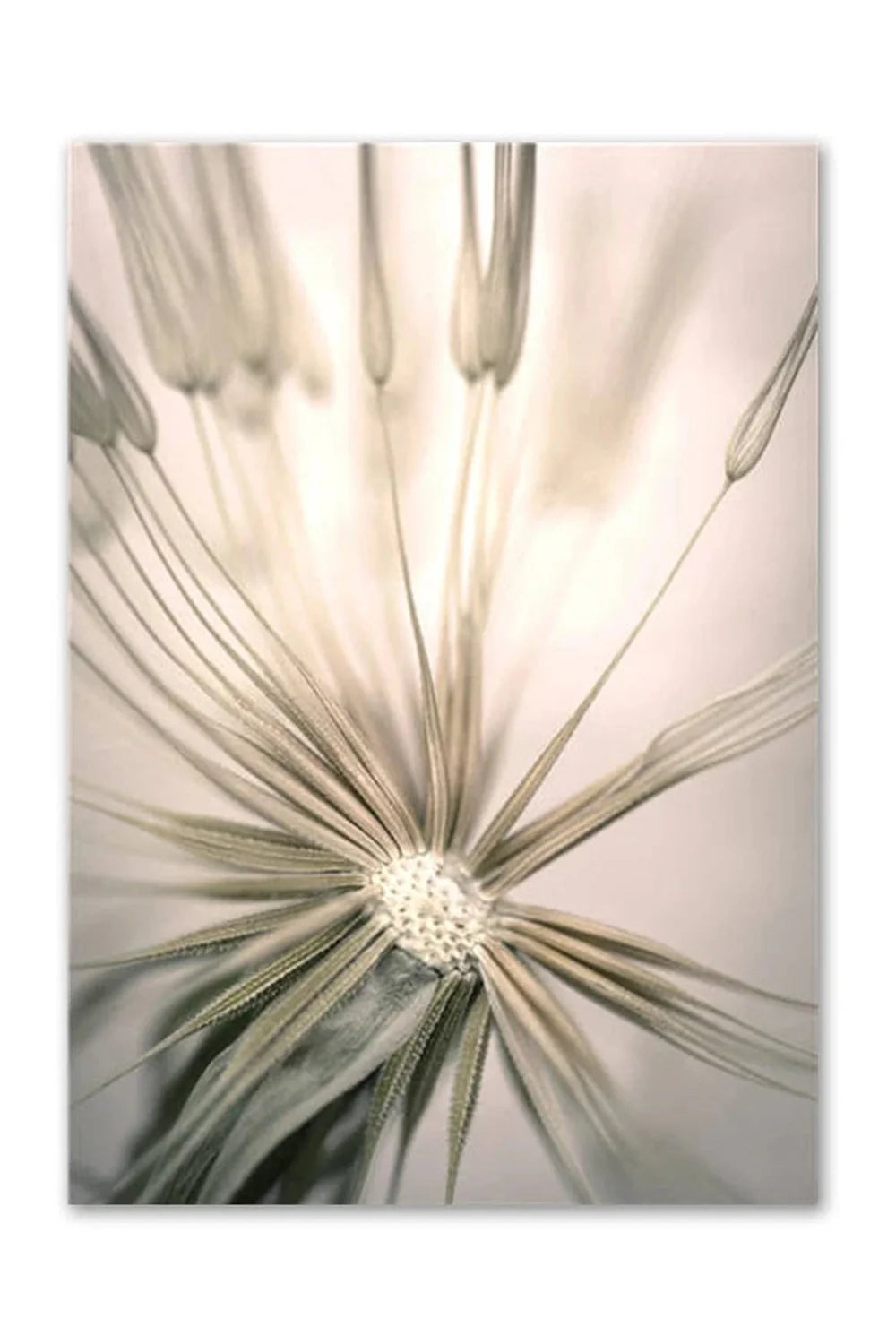 Lisslune | Academy Nordic Nature Canvas Poster