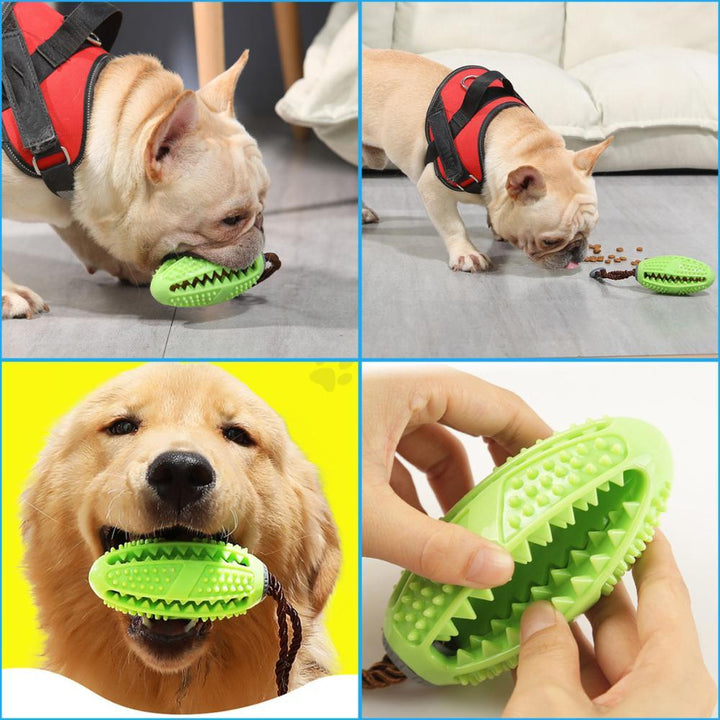 Lisslune | Fillable Dog Toothbrush