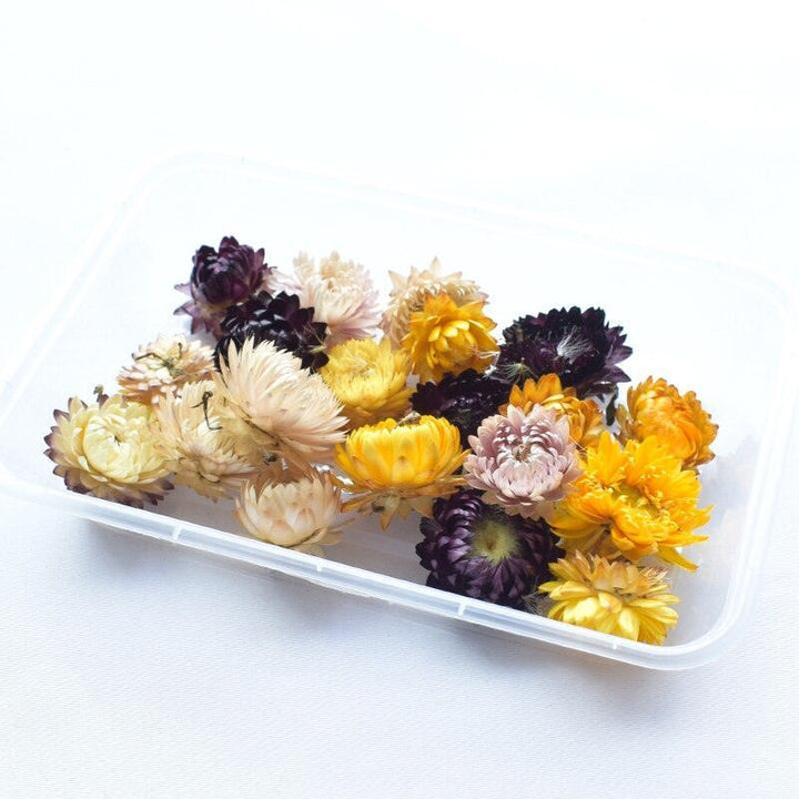 Lisslune | Eternal Floral Inspirations: Preserved Petals for Creative Expressions