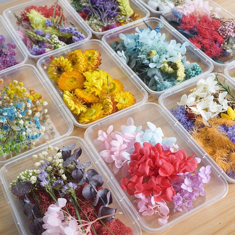 Lisslune | Eternal Floral Inspirations: Preserved Petals for Creative Expressions