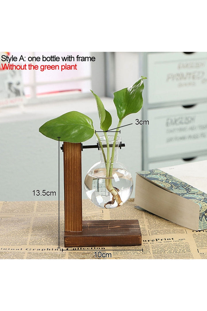 Lisslune | Hydroculture Plant Vase Set