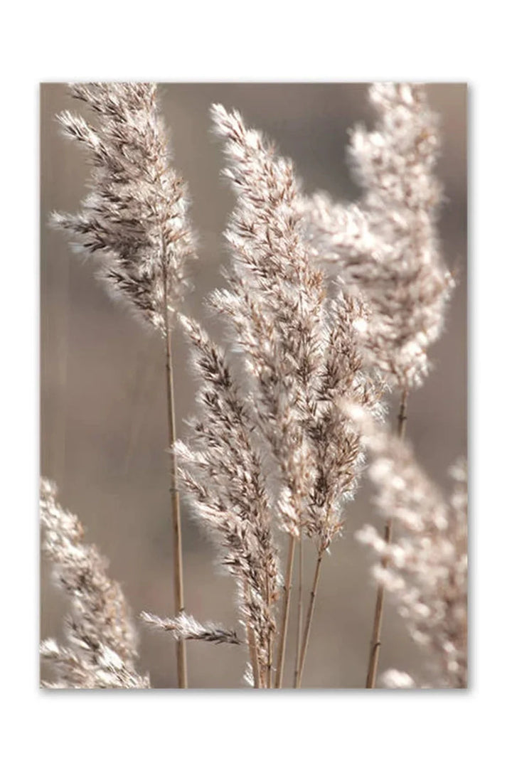 Lisslune | Academy Nordic Nature Canvas Poster