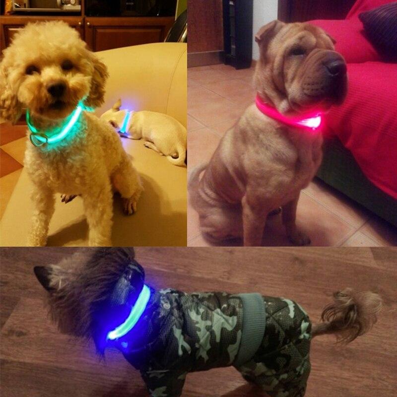 Lisslune | LED USB glowing dog collar