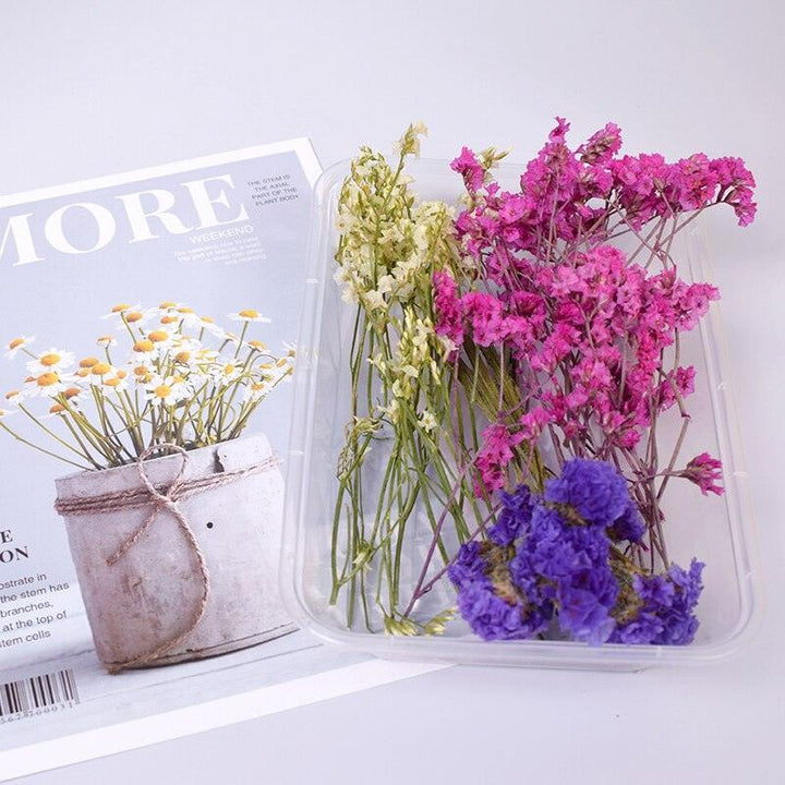 Lisslune | Eternal Floral Inspirations: Preserved Petals for Creative Expressions