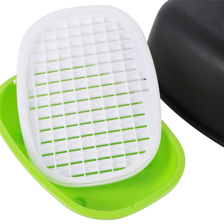Lisslune | Hydroponic Peanut Sprout Growth Kit with Complete Basin System for Home Gardening