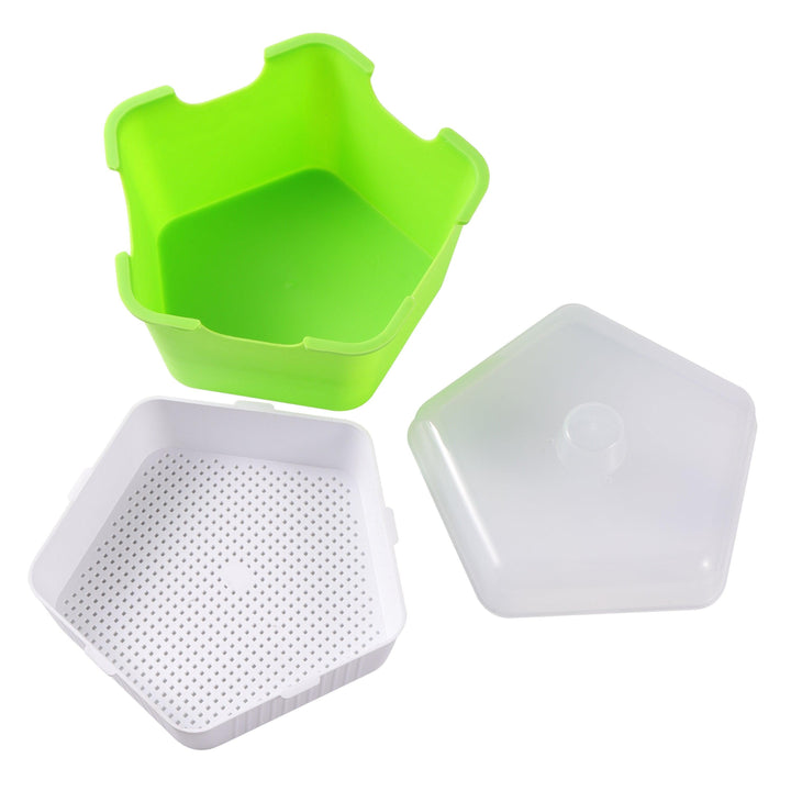 Lisslune | Pentagonal Sprout Haven: Speed up your experience of growing fresh vegetables