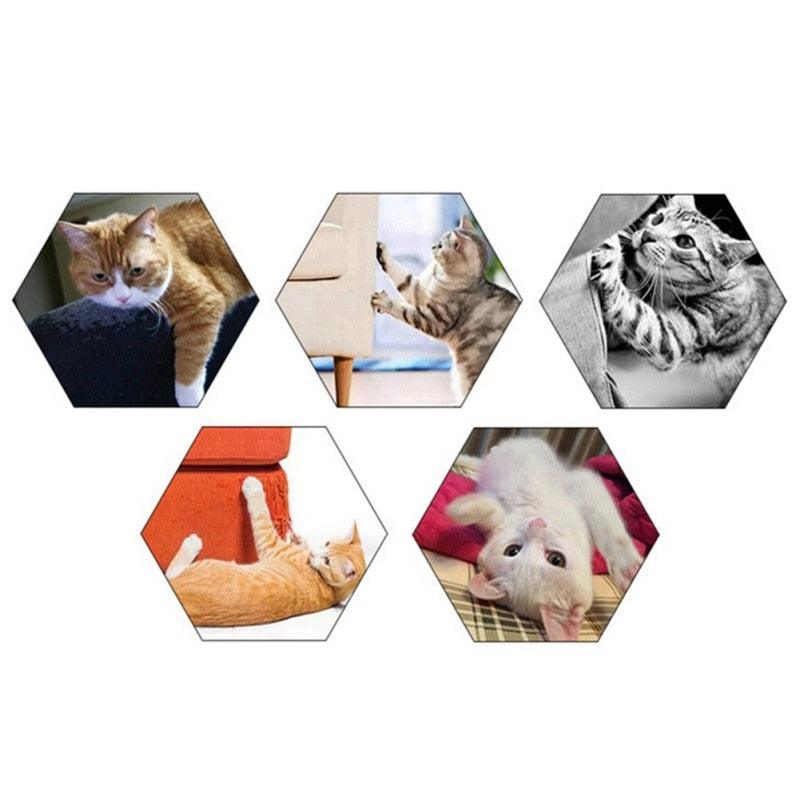 Lisslune | Captivating Sisal Scratch Mat for Energetic Kittens