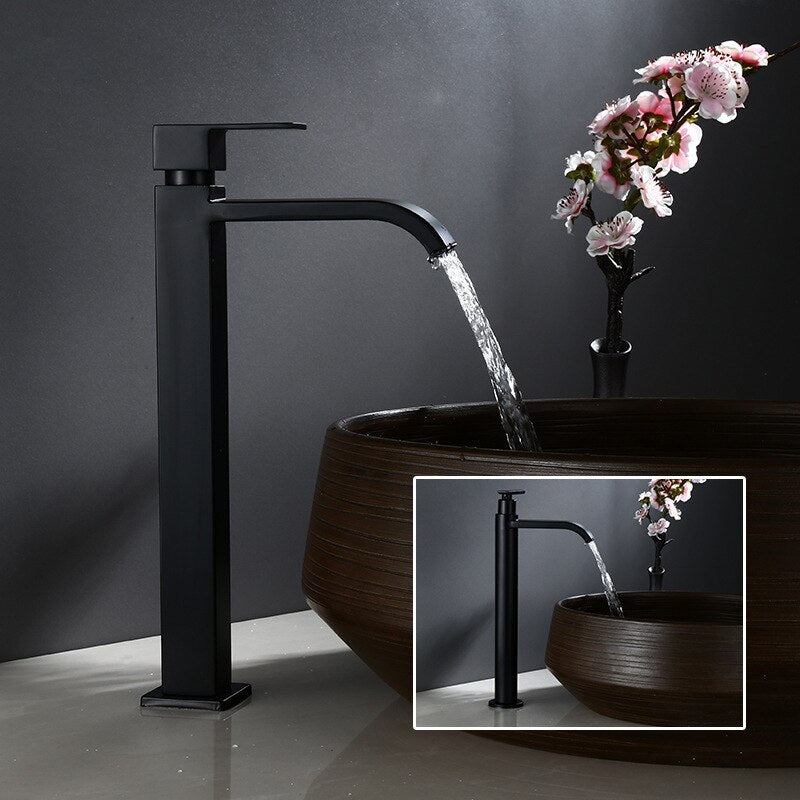Lisslune | Matte black cold water single faucets for sink installation