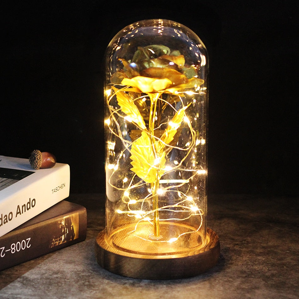 Lisslune | Glowing Wonder Atmospheric LED Light