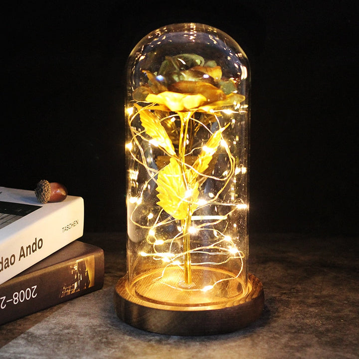 Lisslune | Glowing Wonder Atmospheric LED Light