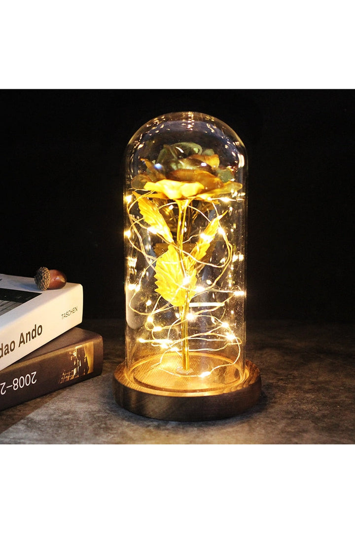 Lisslune | illuminated enchanted rose lamp