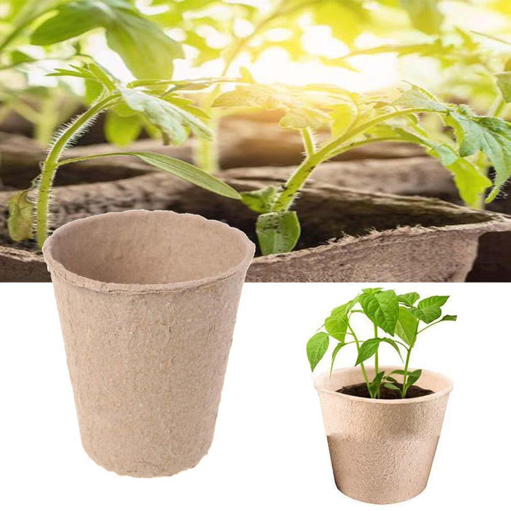 Lisslune | Eco-friendly peat pot seedling kit: Green growth with biodegradable plant pots
