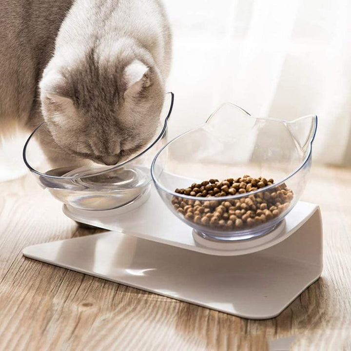 Lisslune | Orthopedic Anti-Vomiting Bowl for Cats