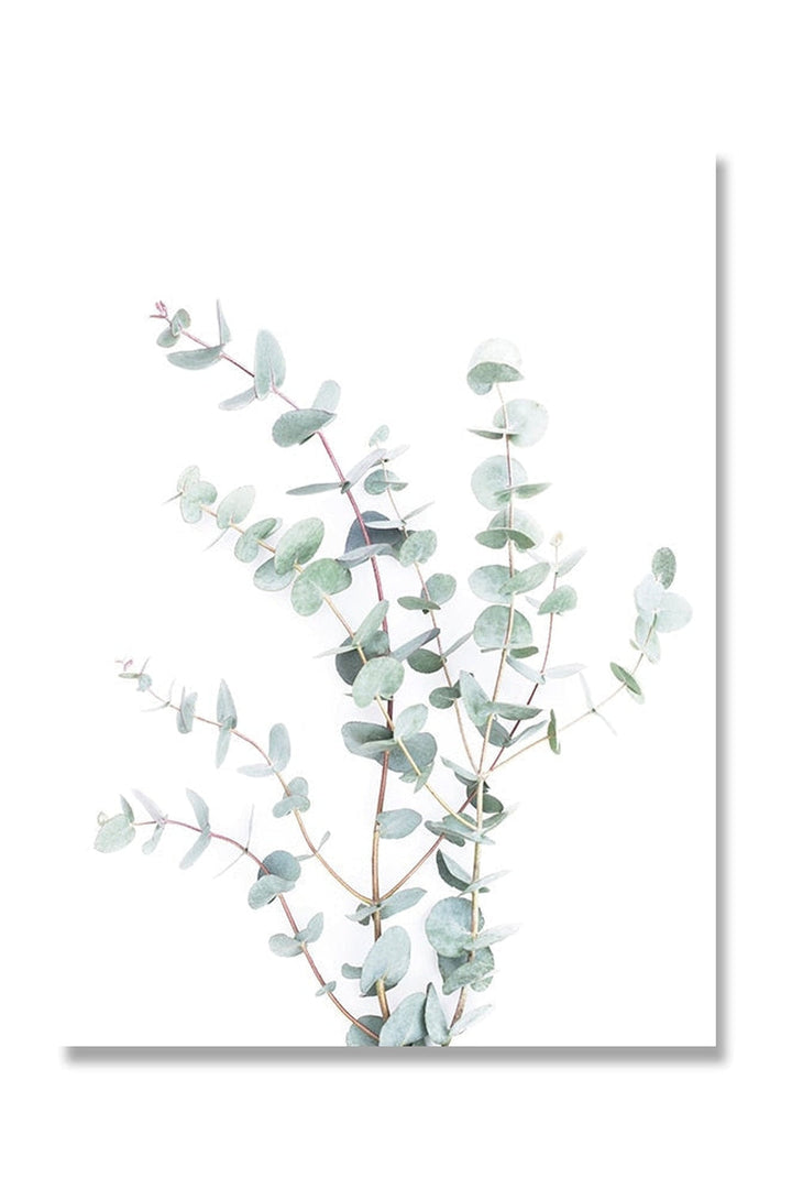 Lisslune | Botanical Art Posters