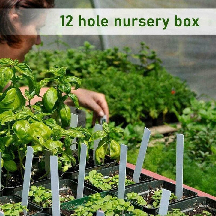 Lisslune | Innovative Seedling Growing Set: 12-Cell Growth Plate for Superior Plant Care