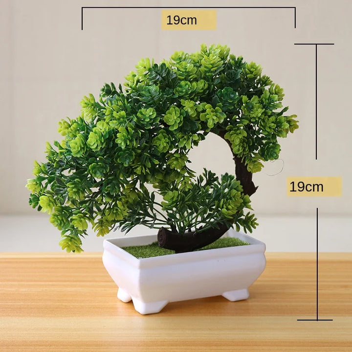 Lisslune | Small Tree Pot Bonsai Plants