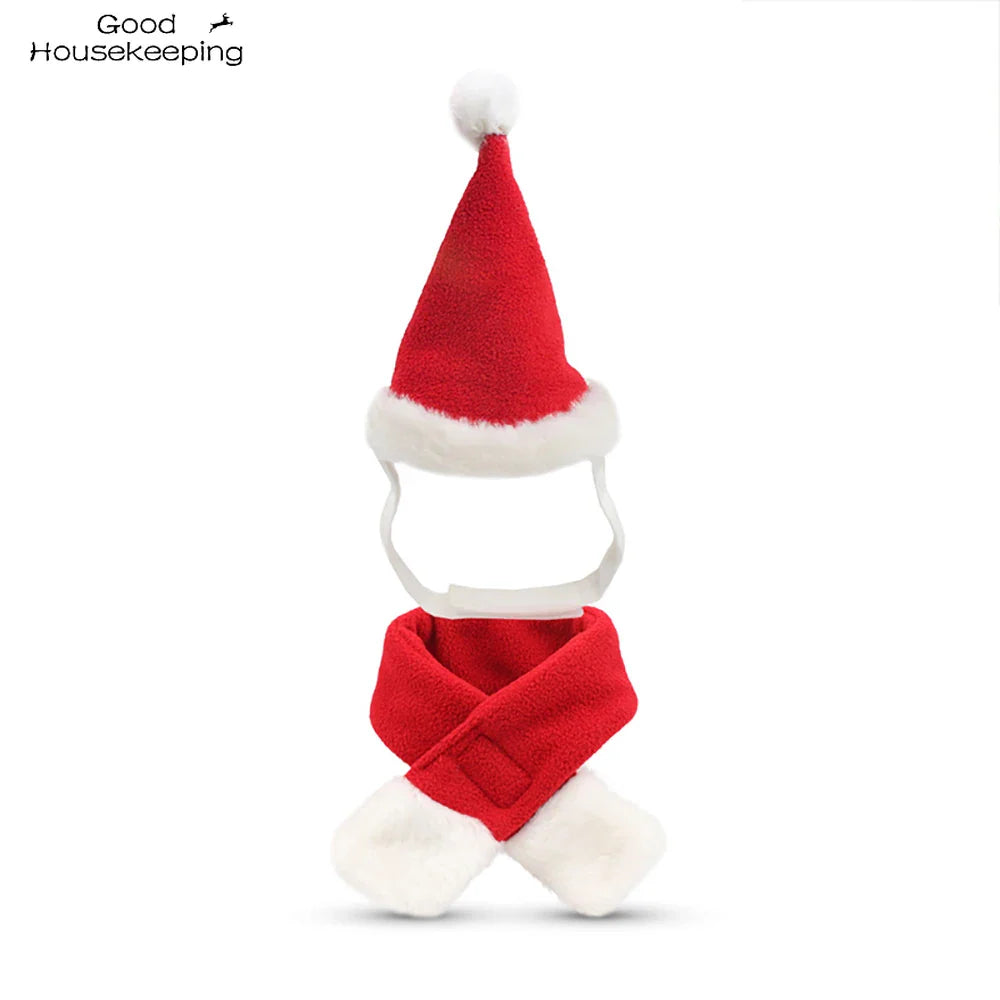 Lisslune | Cat Christmas costume