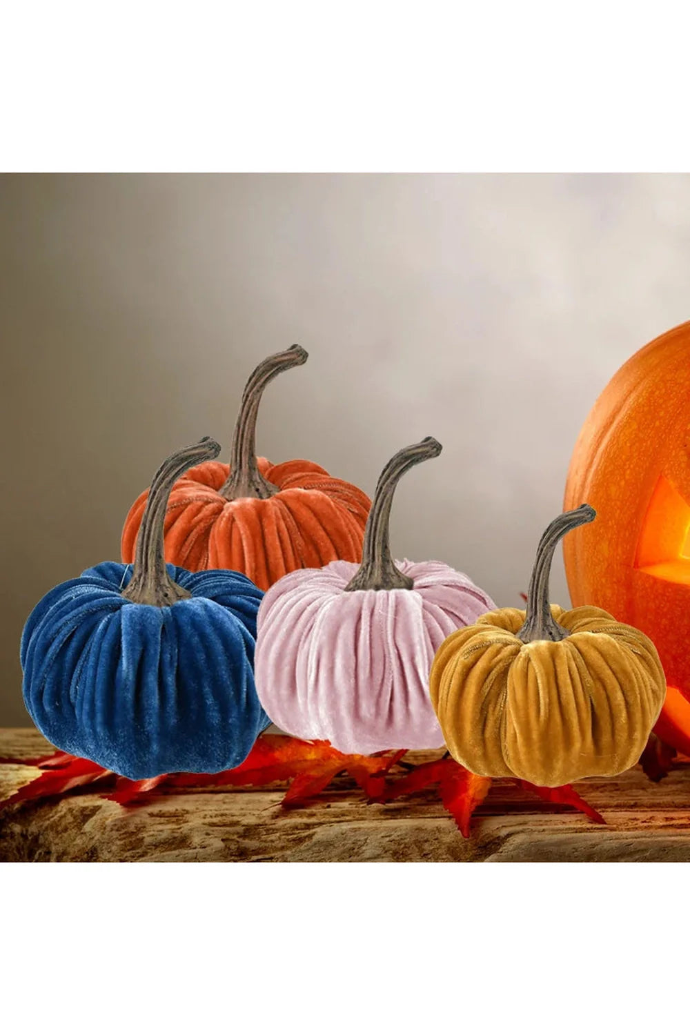 Lisslune | Harvest Pumpkin Cushion Set