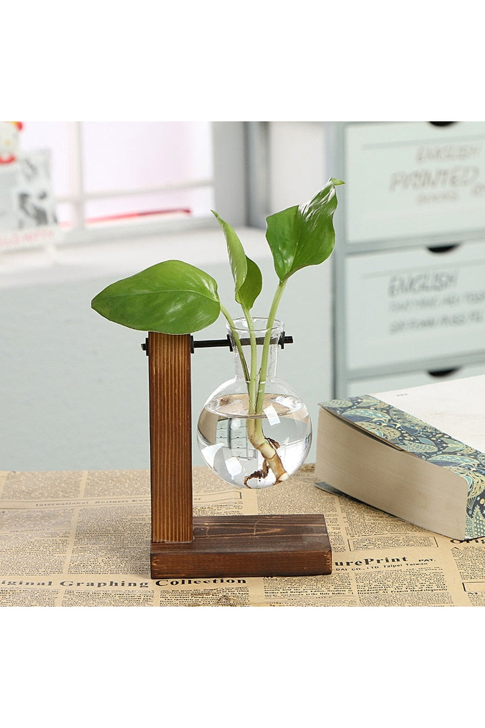 Lisslune | Hydroculture Plant Vase Set