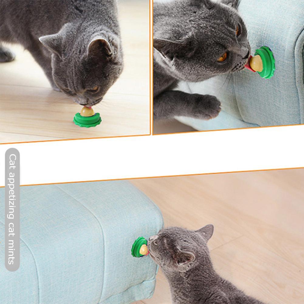 Lisslune | Cat Snack Wall Ball Supplement Catnip