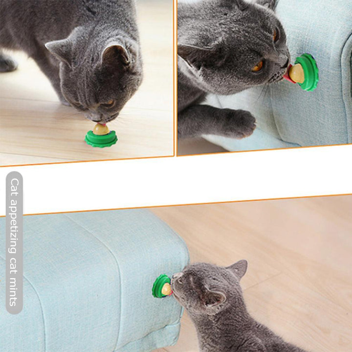 Lisslune | Cat Snack Wall Ball Supplement Catnip