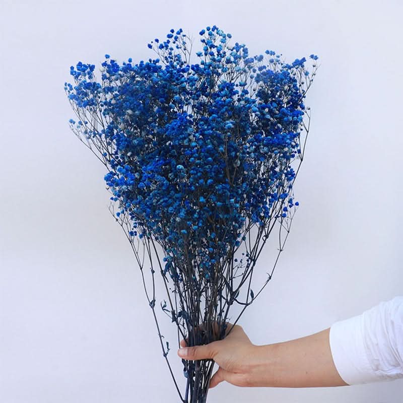 Lisslune | Dried Preserved Gypsophila Flower Bouquet – Natural Decor