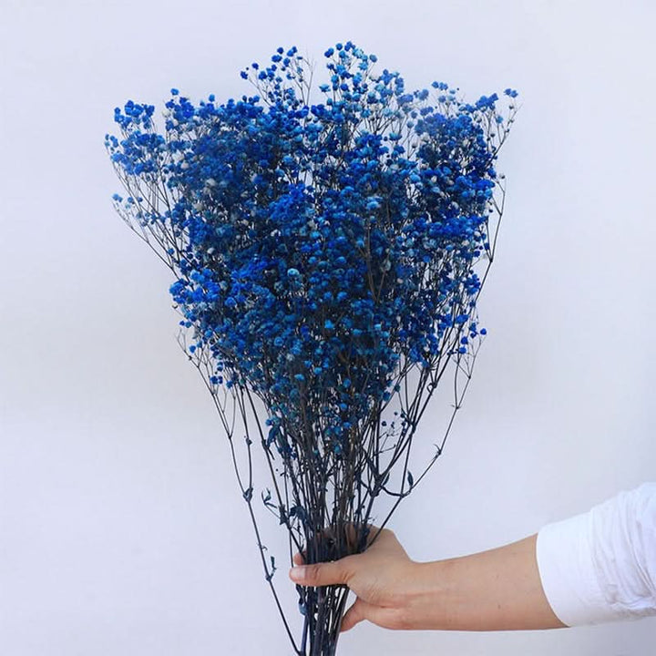 Lisslune | Dried Preserved Gypsophila Flower Bouquet – Natural Decor