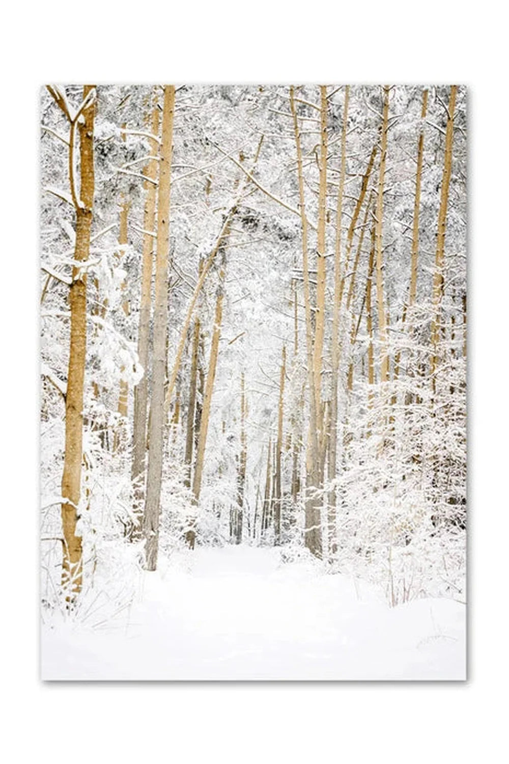 Lisslune | Canvas poster