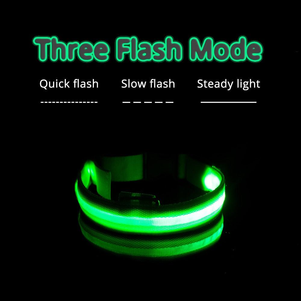 Lisslune | Light & Protect: Rechargeable Waterproof LED Dog Collar for Enhanced Nighttime Safety