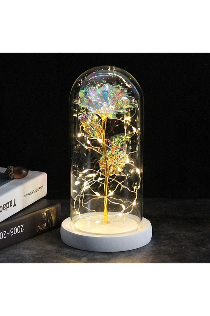 Lisslune | illuminated enchanted rose lamp